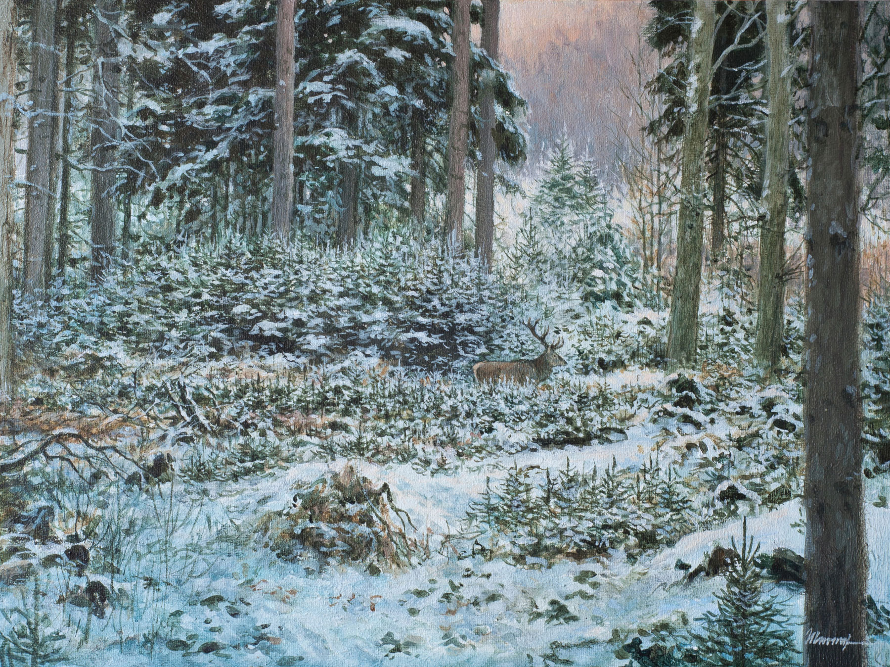 Rudolf Frhr. v. Ulmenstein: Rothirsch im Winter, Forst Annenhof