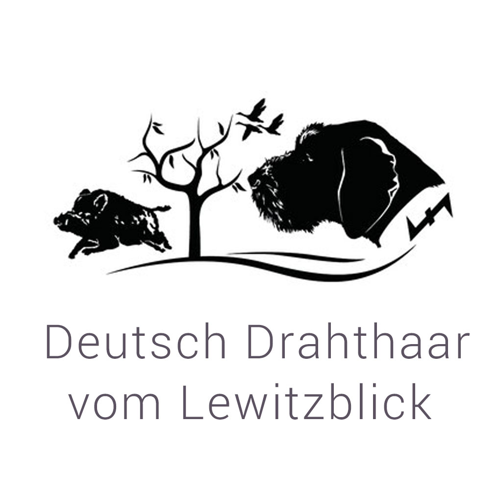 bestik Schießstock stik-holder Deutsch Drahthaar vom Lewitzblick Anja Blank
